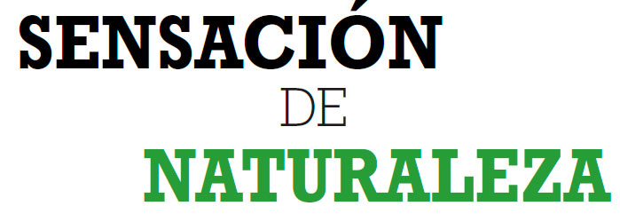 SENSACIÓN DE NATURALEZA