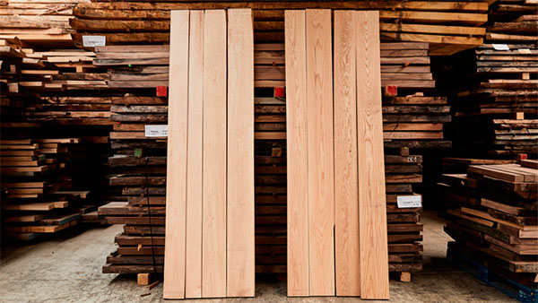 LA MADERA HABLA Y LOS MEDIOS ESCUCHAN