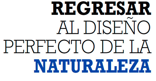 REGRESAR AL DISEÑO PERFECTO DE LA NATURALEZA